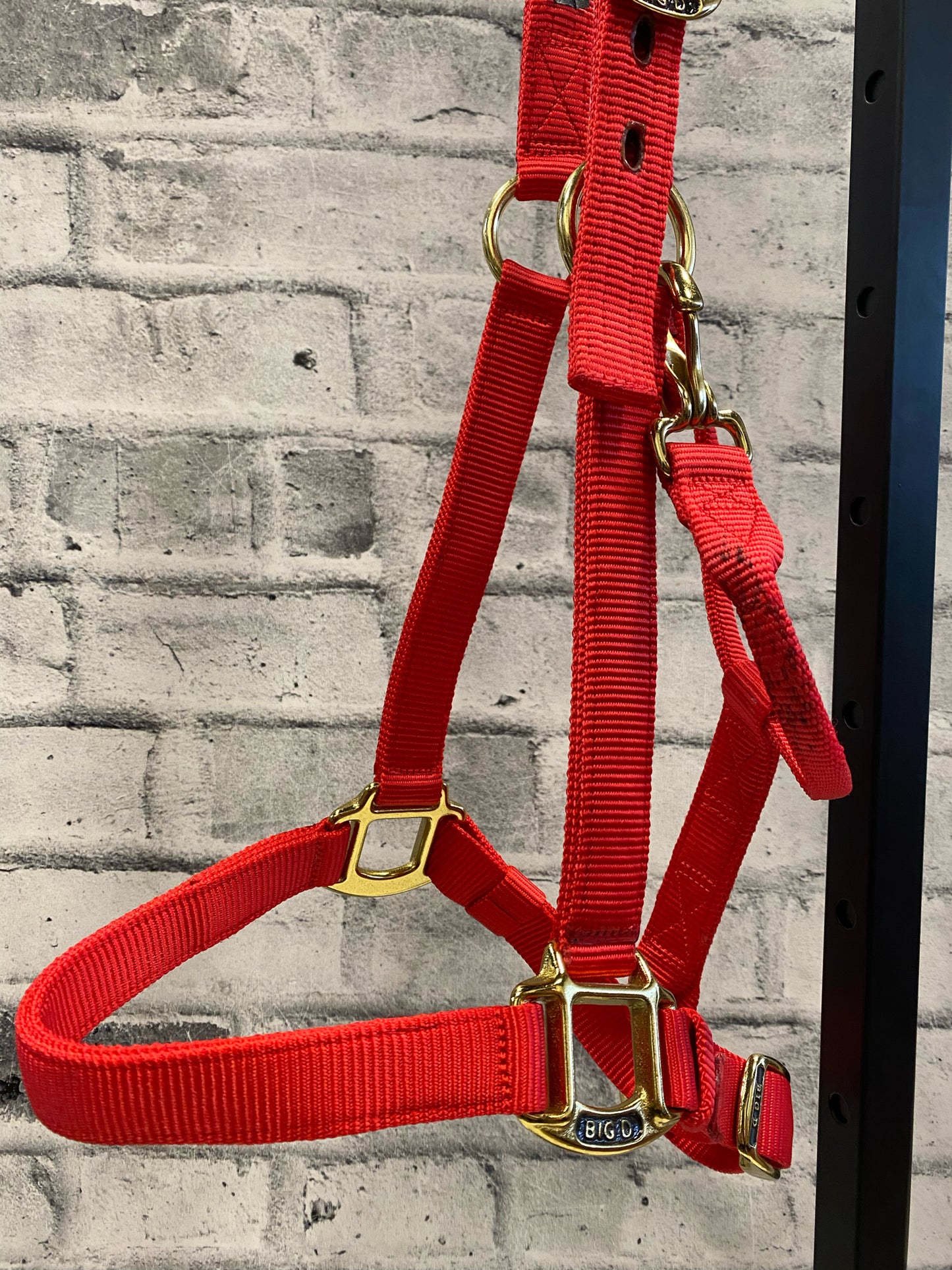 Big D Nylon Halter Red F