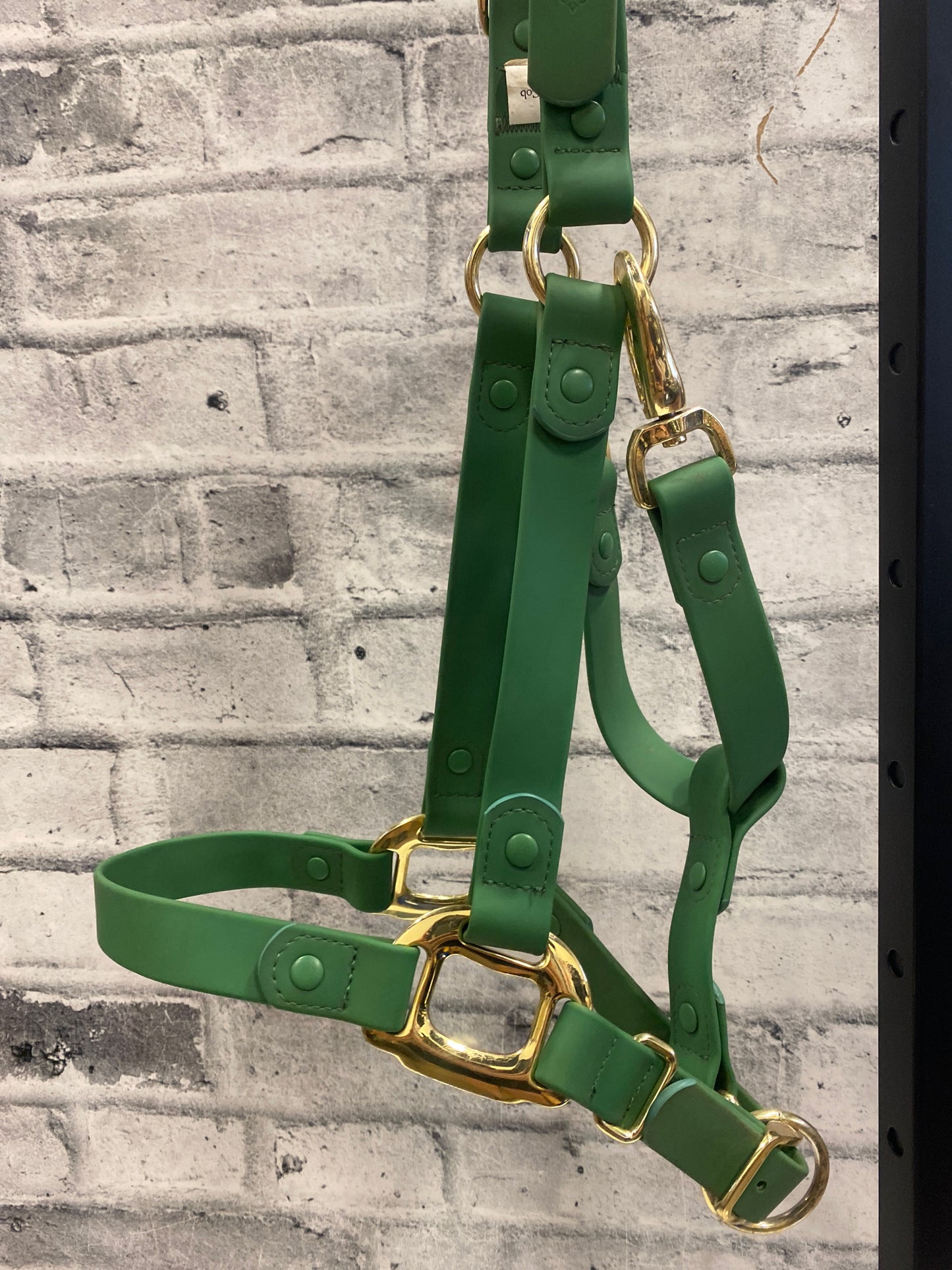 Icavalos Rubber Halter+ Chain Lead Green Cob