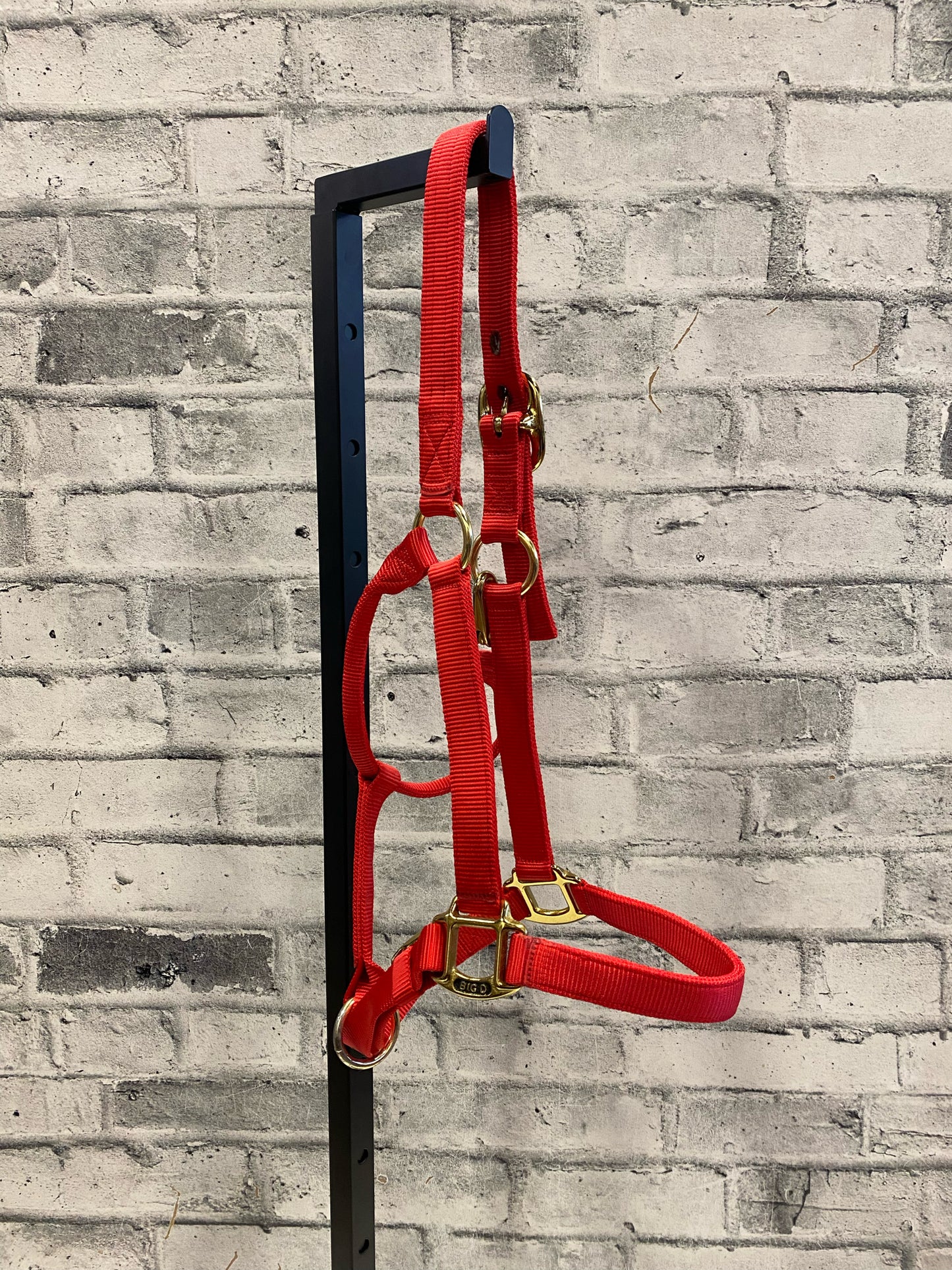 Big D Nylon Halter Red F