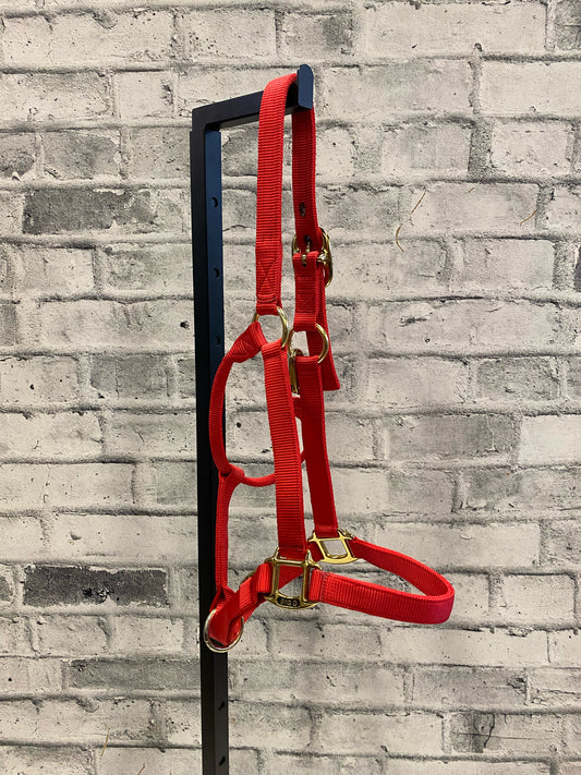 Big D Nylon Halter Red F