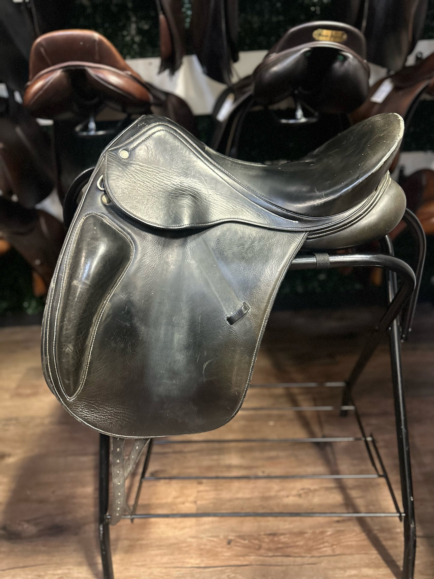 17" Regal Monoflap Dressage Saddle M (5")