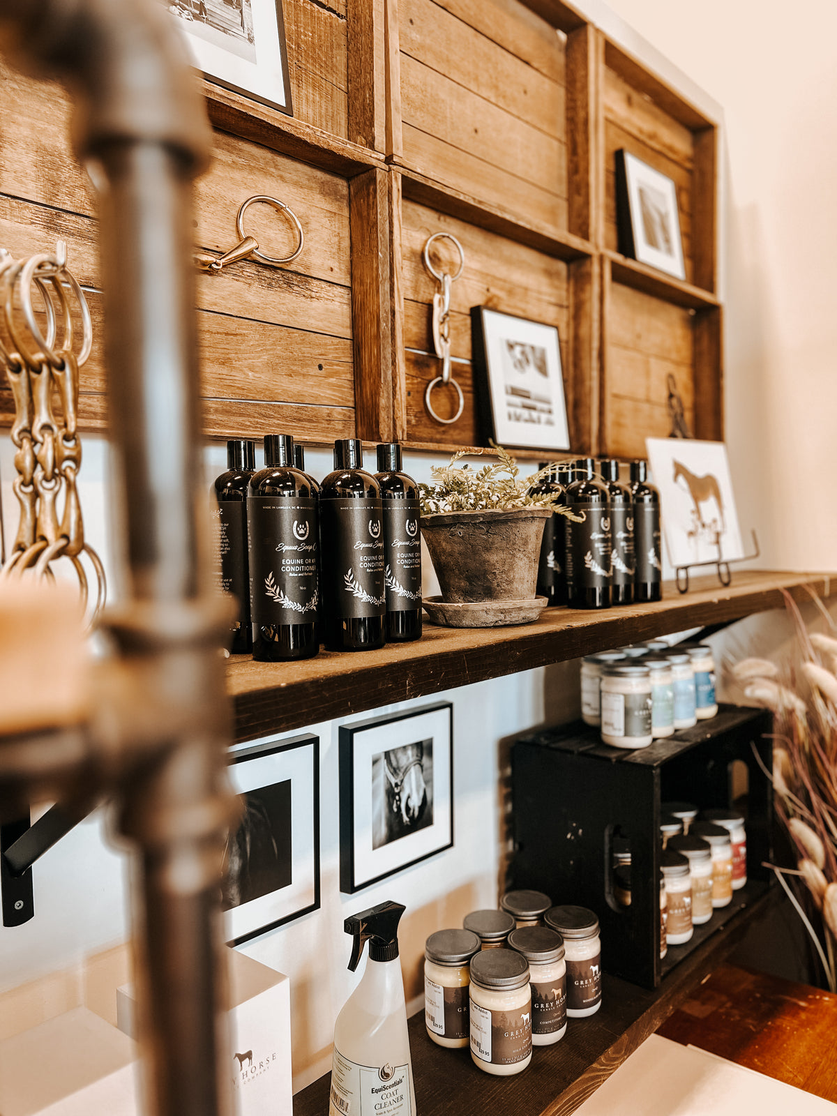 The Tack Addict | BC's Best Equestrian Consignment