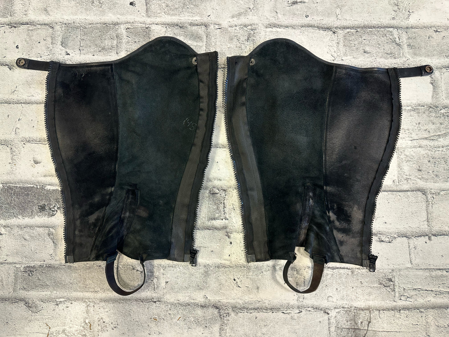 Tucci Leather Half Chaps - C 13" H 16.5"