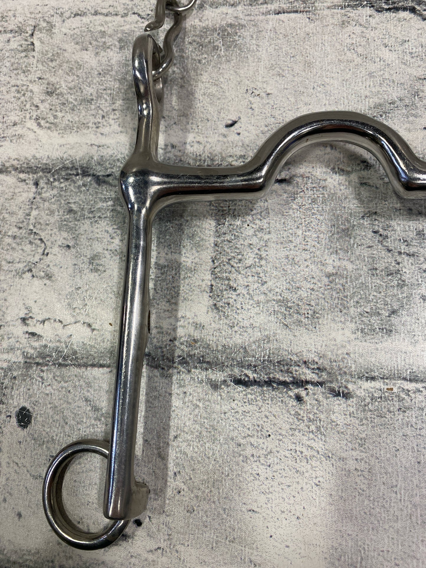 4.75" Weymouth Bit w/ Chain