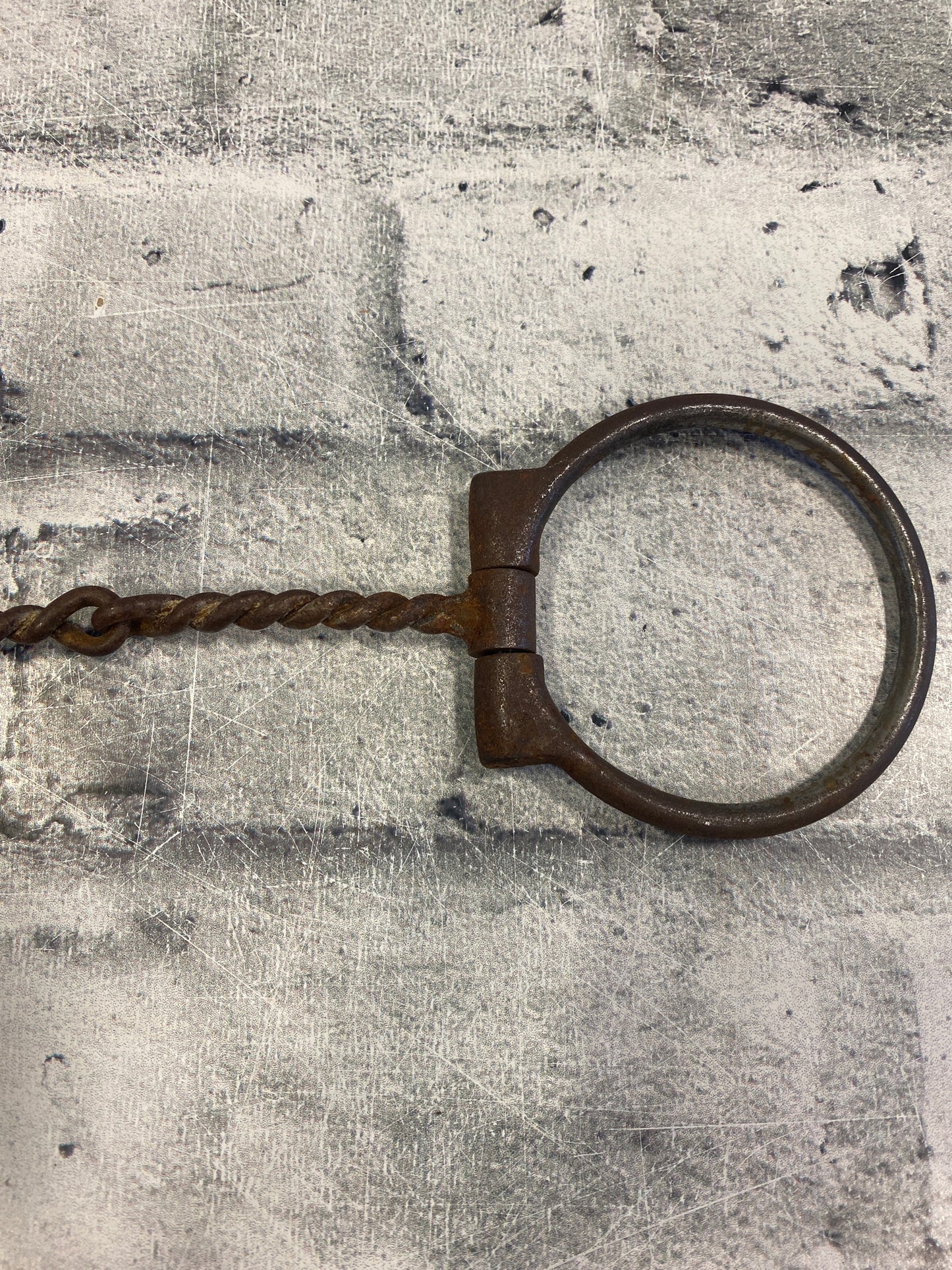 5" Sweet Iron Thin Wire Twist Fixed Snaffle Bit