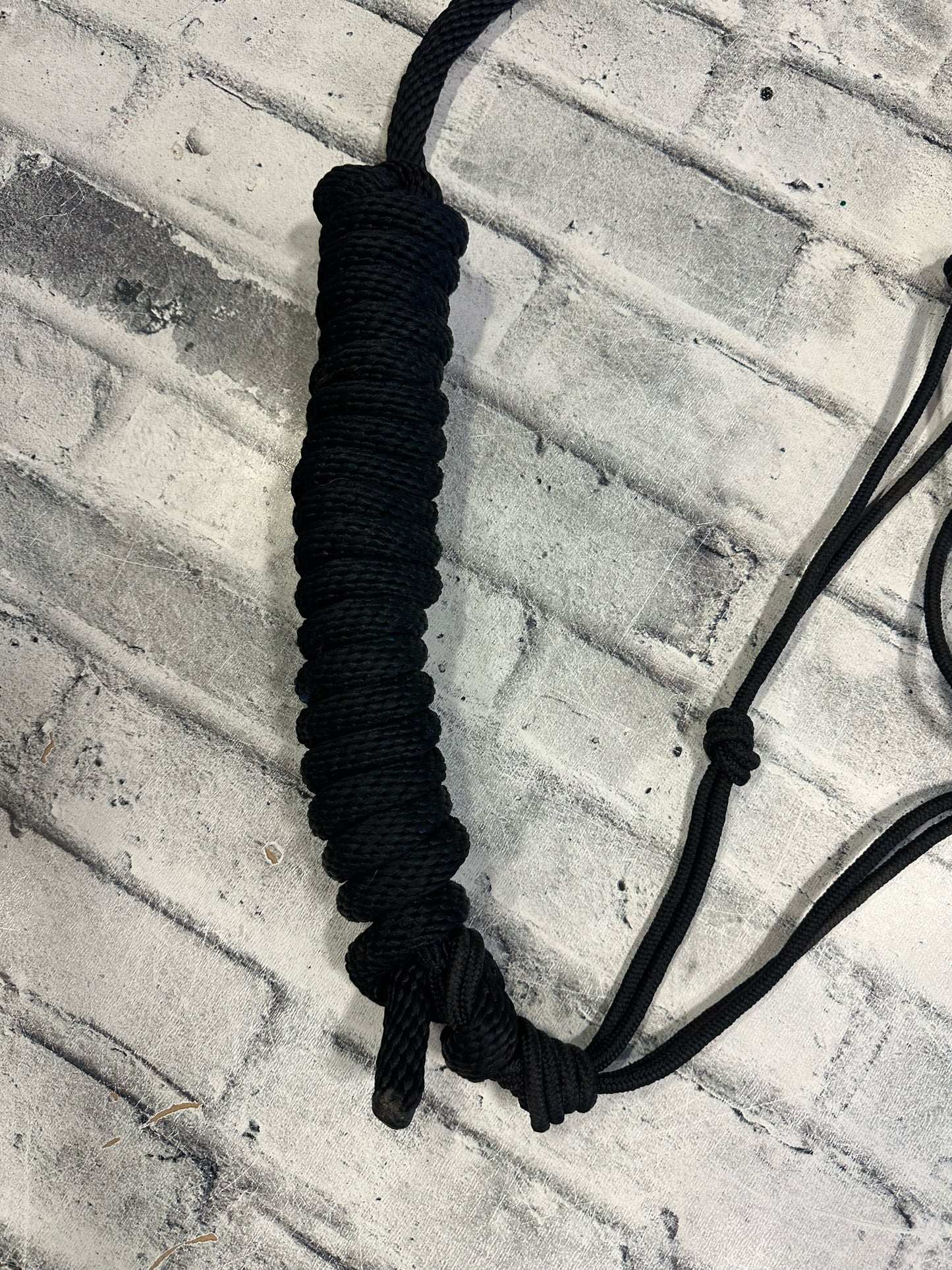 Naughty Knots Rope Halter w/Lead Rope Black