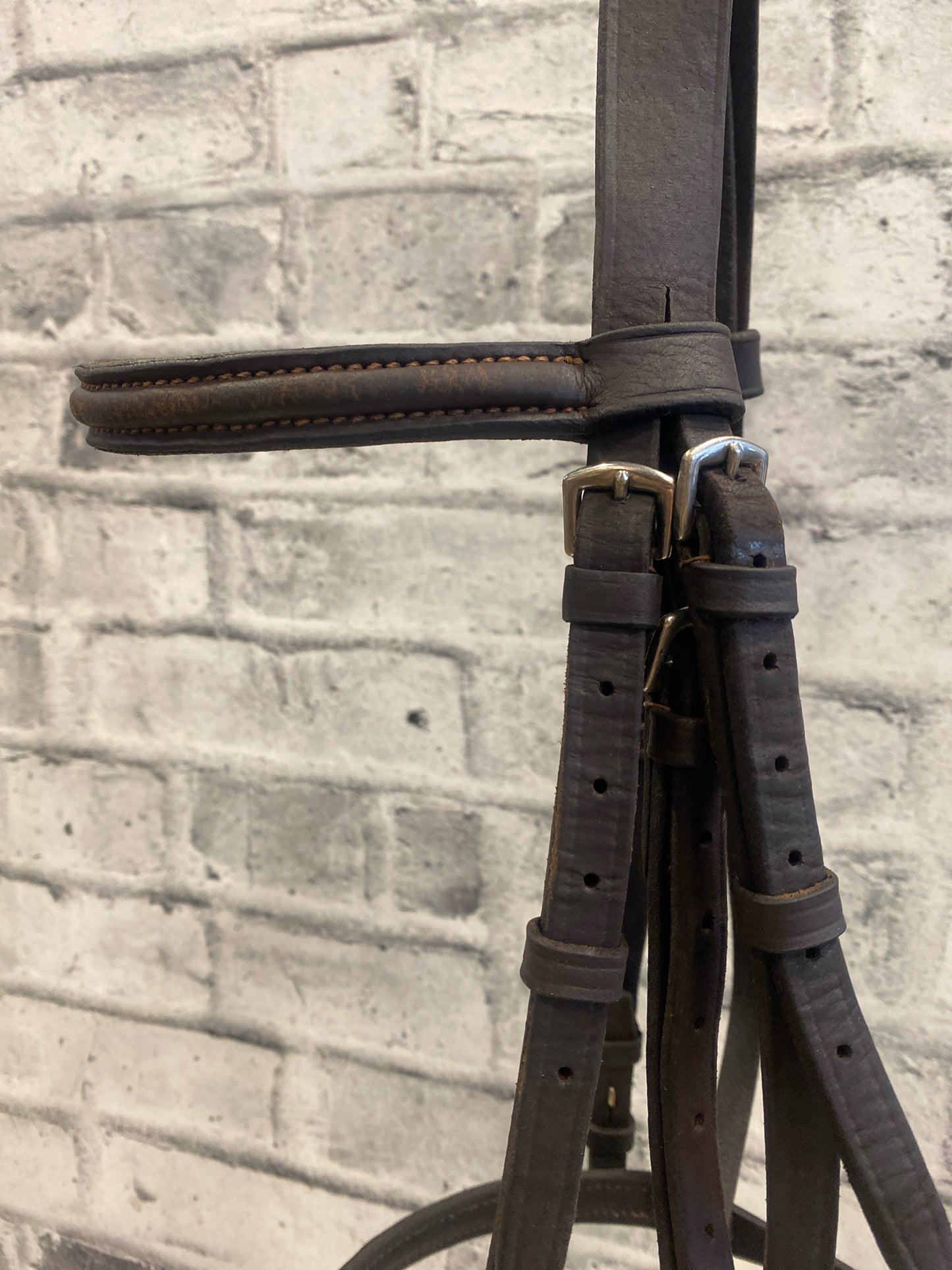 Raised Leather Bridle Brown F