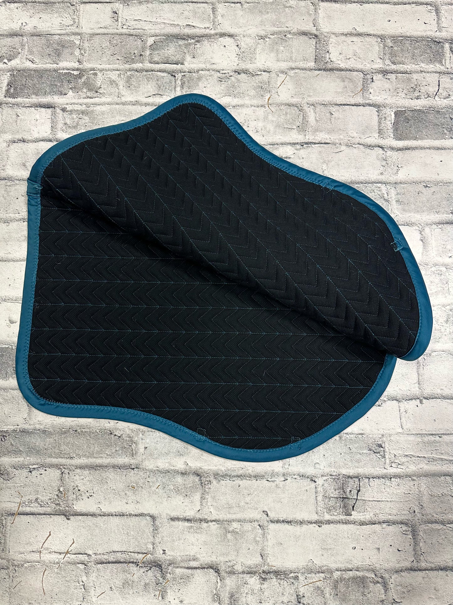 Shedrow AP Saddle Pad Blue F