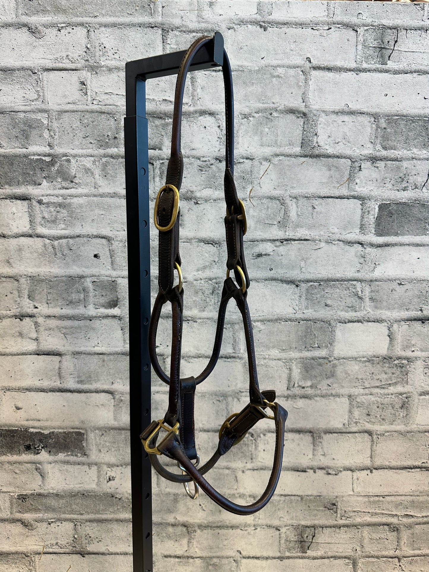 Rolled Leather Halter Brown F