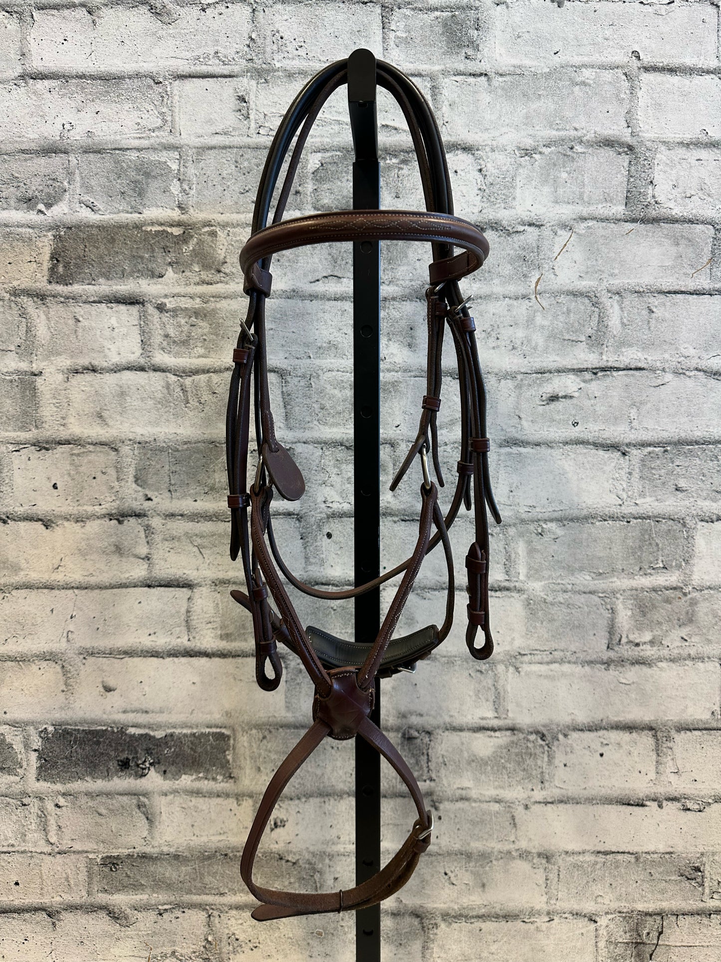 Dominus Figure 8 Hunter Bridle F