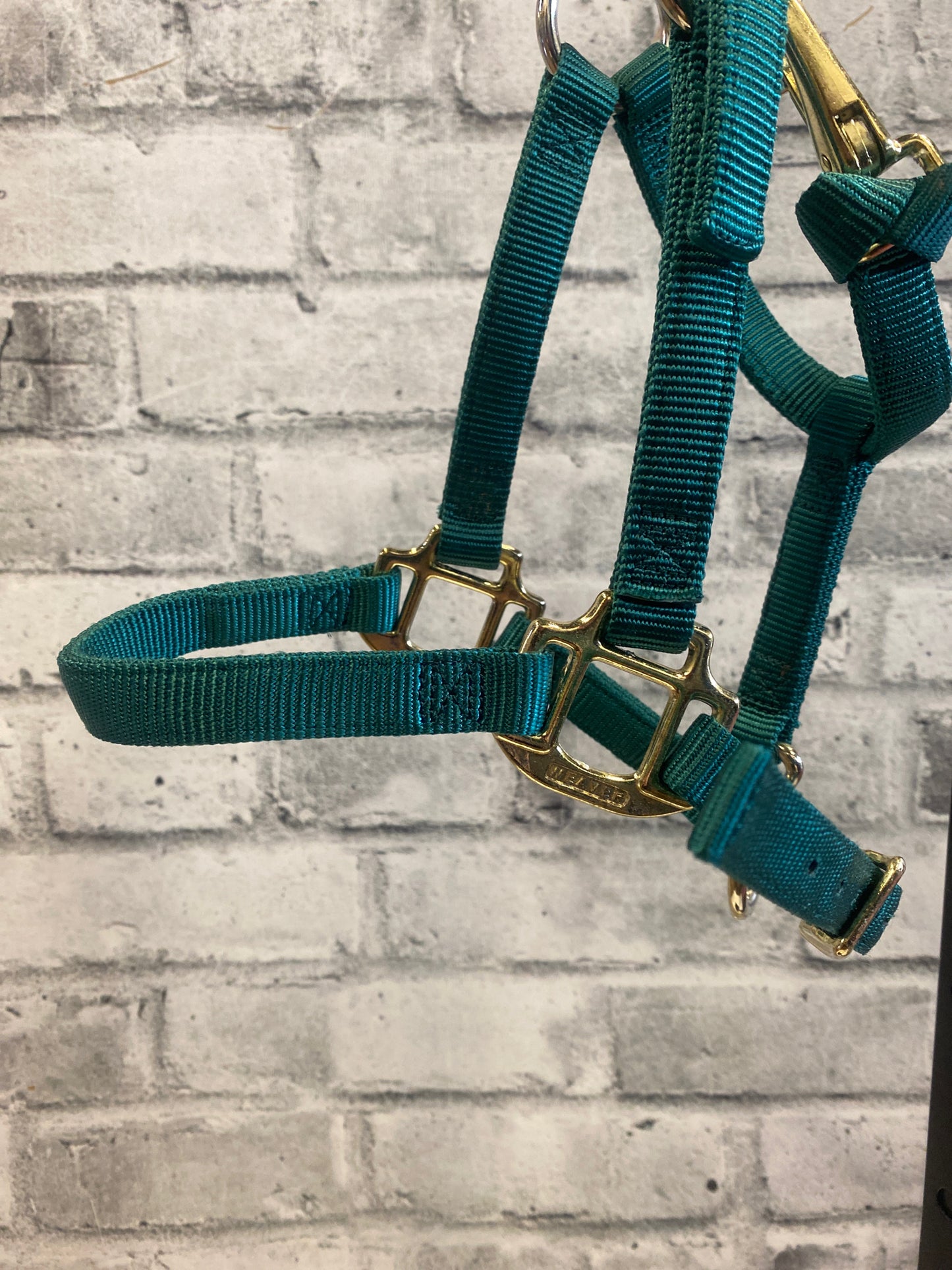 Weaver Nylon Halter Green Weanling/Pony