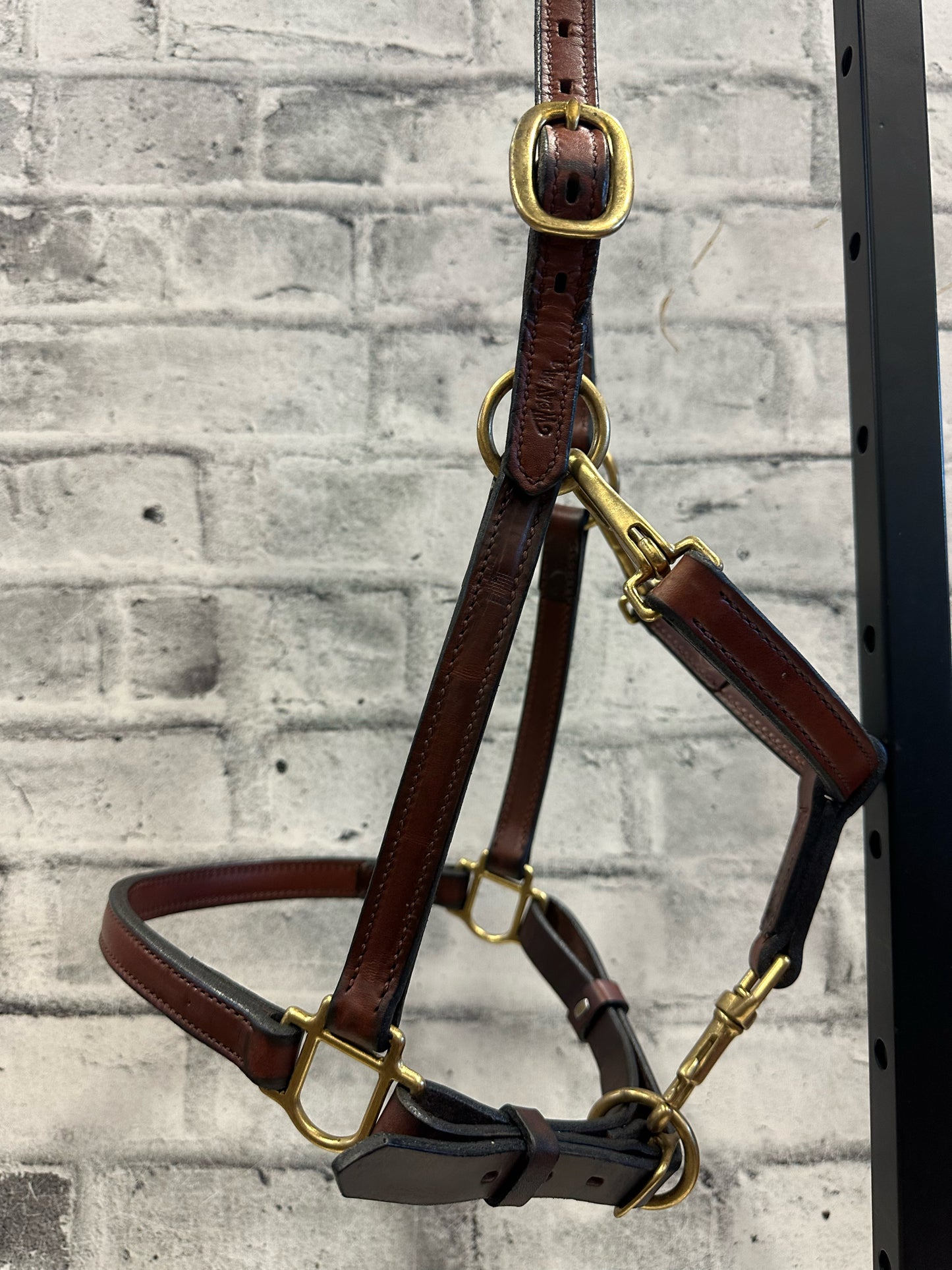 Weaver Leather Grooming Halter F