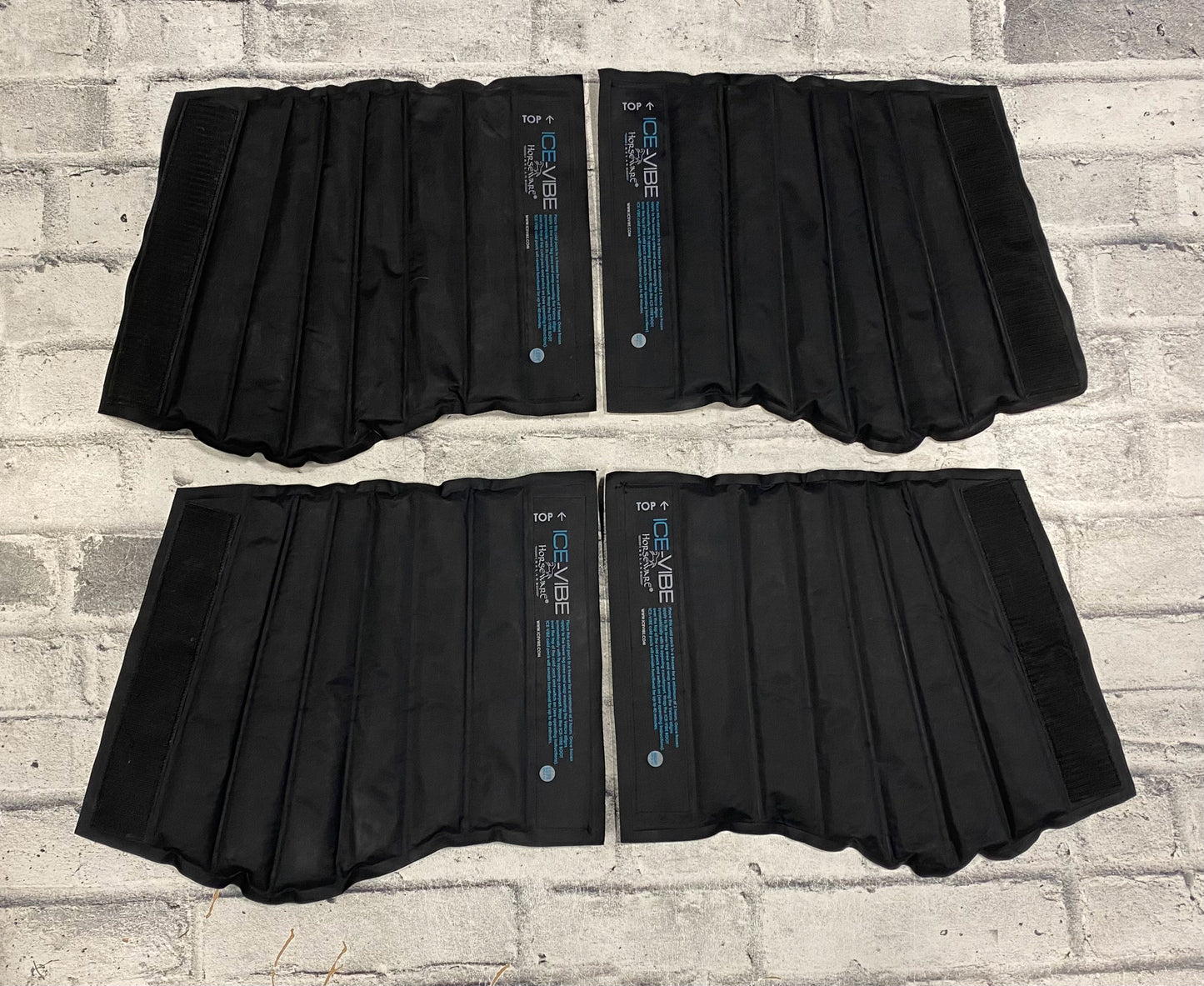 Ice Vibe Ice Packs + Carrying Bag (4)