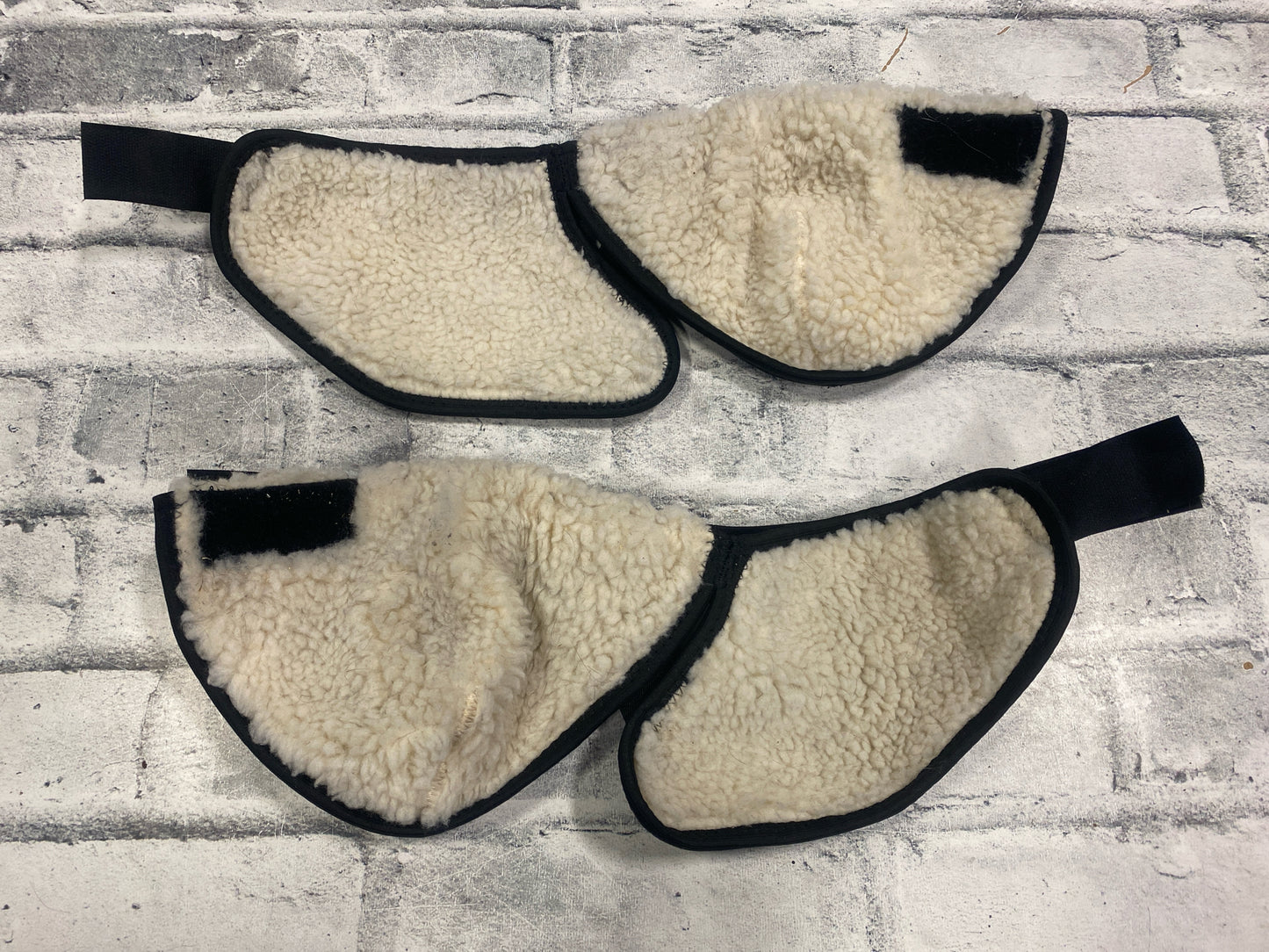 Hock Sheild Hock Boots L