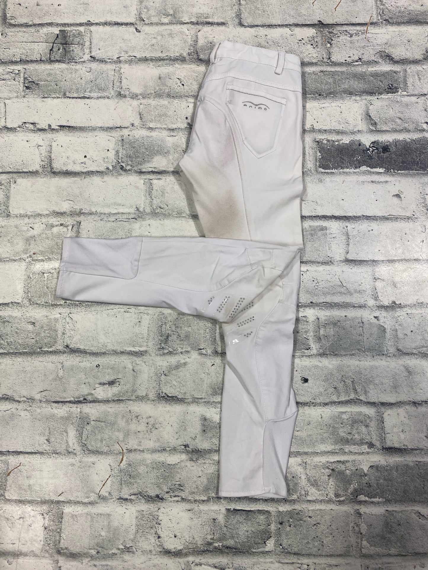 Animo KP Breeches White Childrens 10