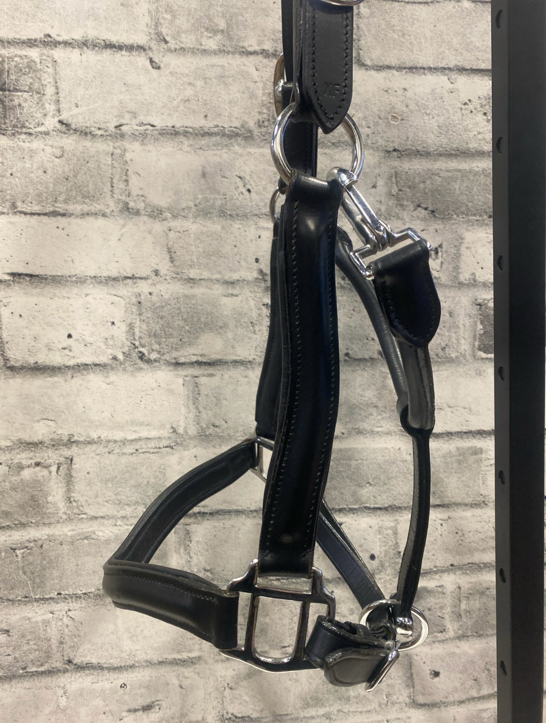 Leather Halter Black XF w/ Lead Rope