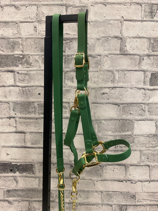 Icavalos Rubber Halter+ Chain Lead Green Cob