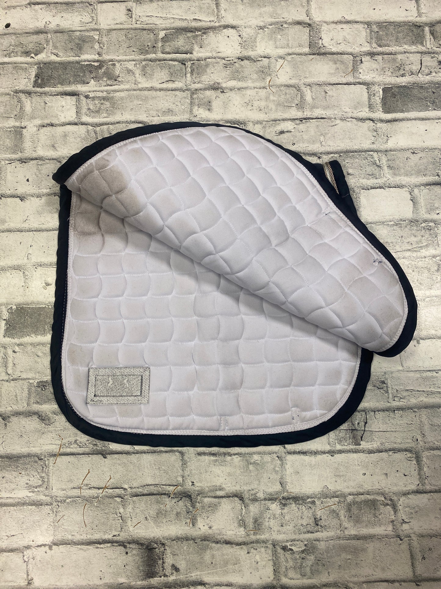 B//Vertigo Dressage Pad Navy/White F