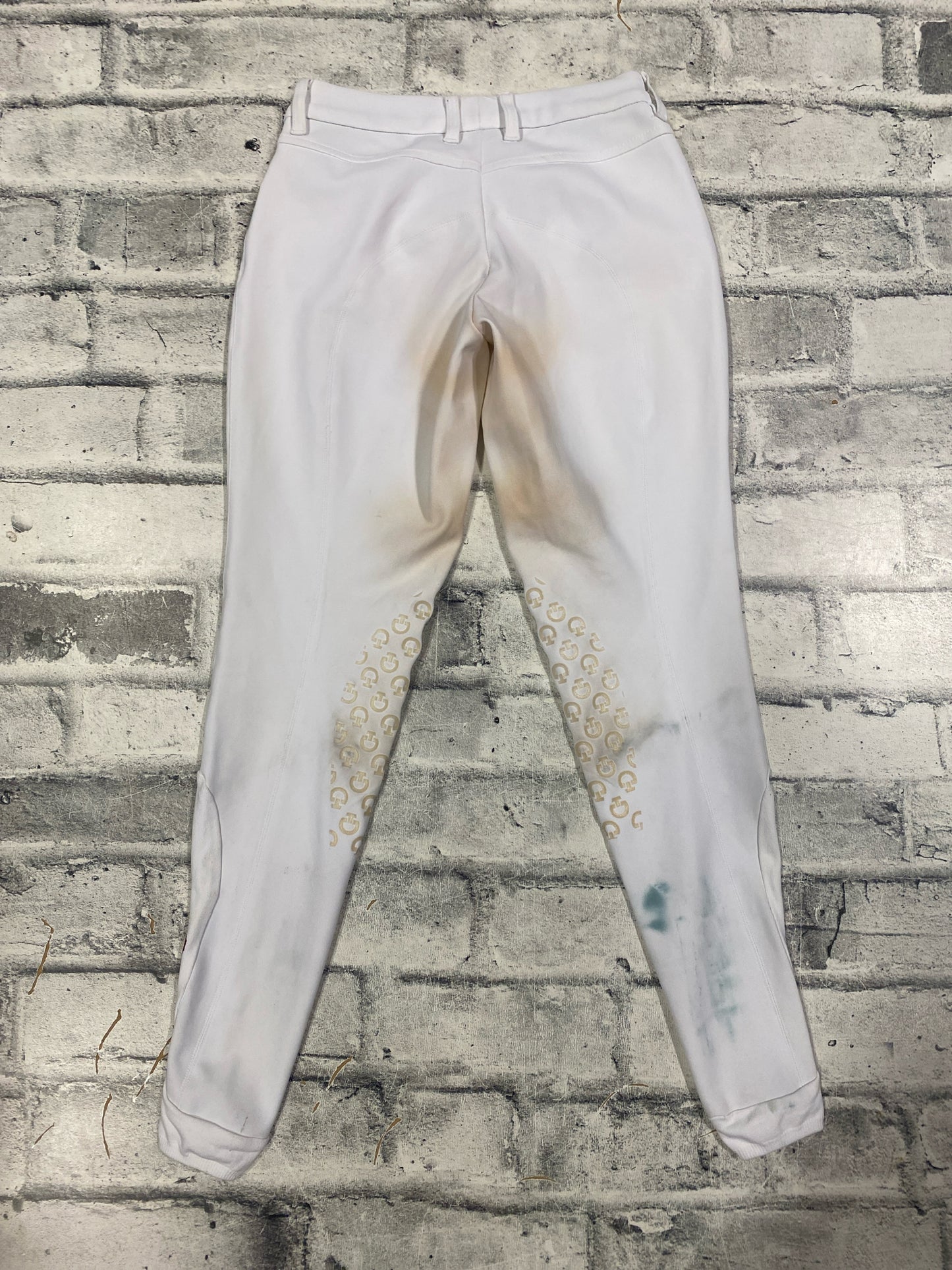 Cavalleria Toscana KP Breeches White 24