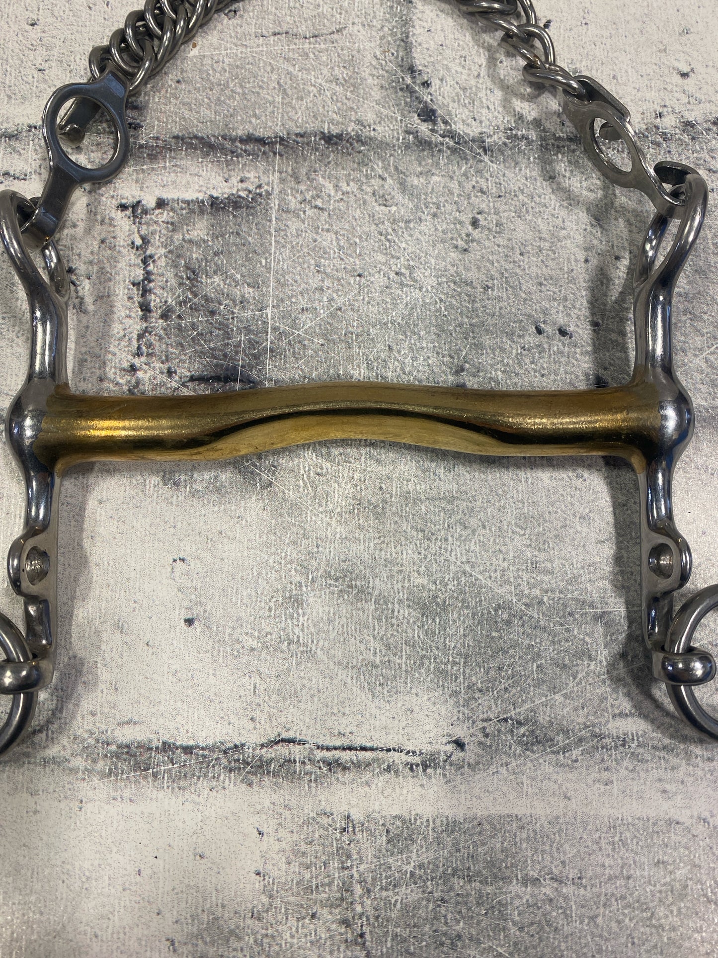 5.5" Weymouth Bit w/ Chain