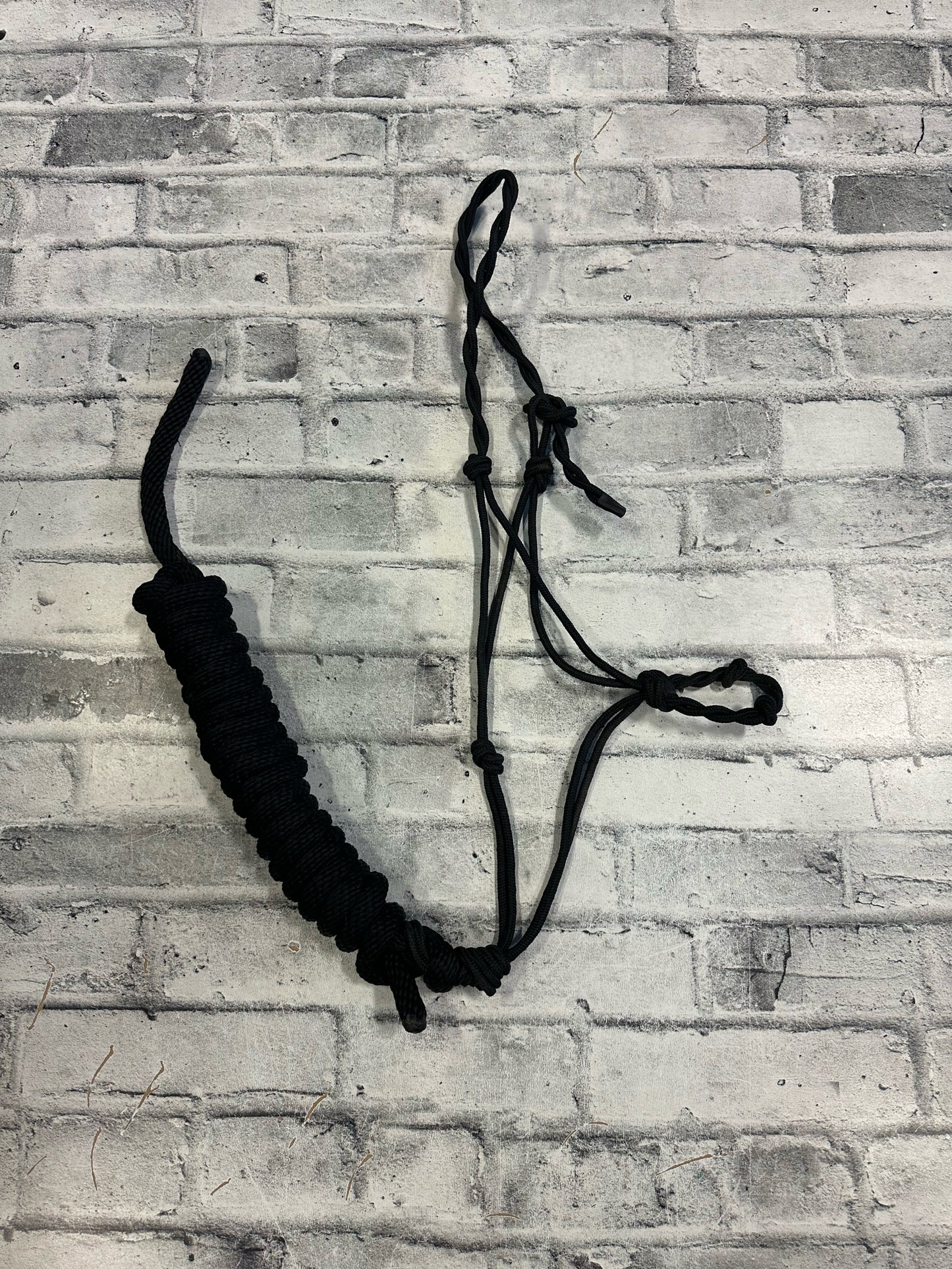 Naughty Knots Rope Halter w/Lead Rope Black
