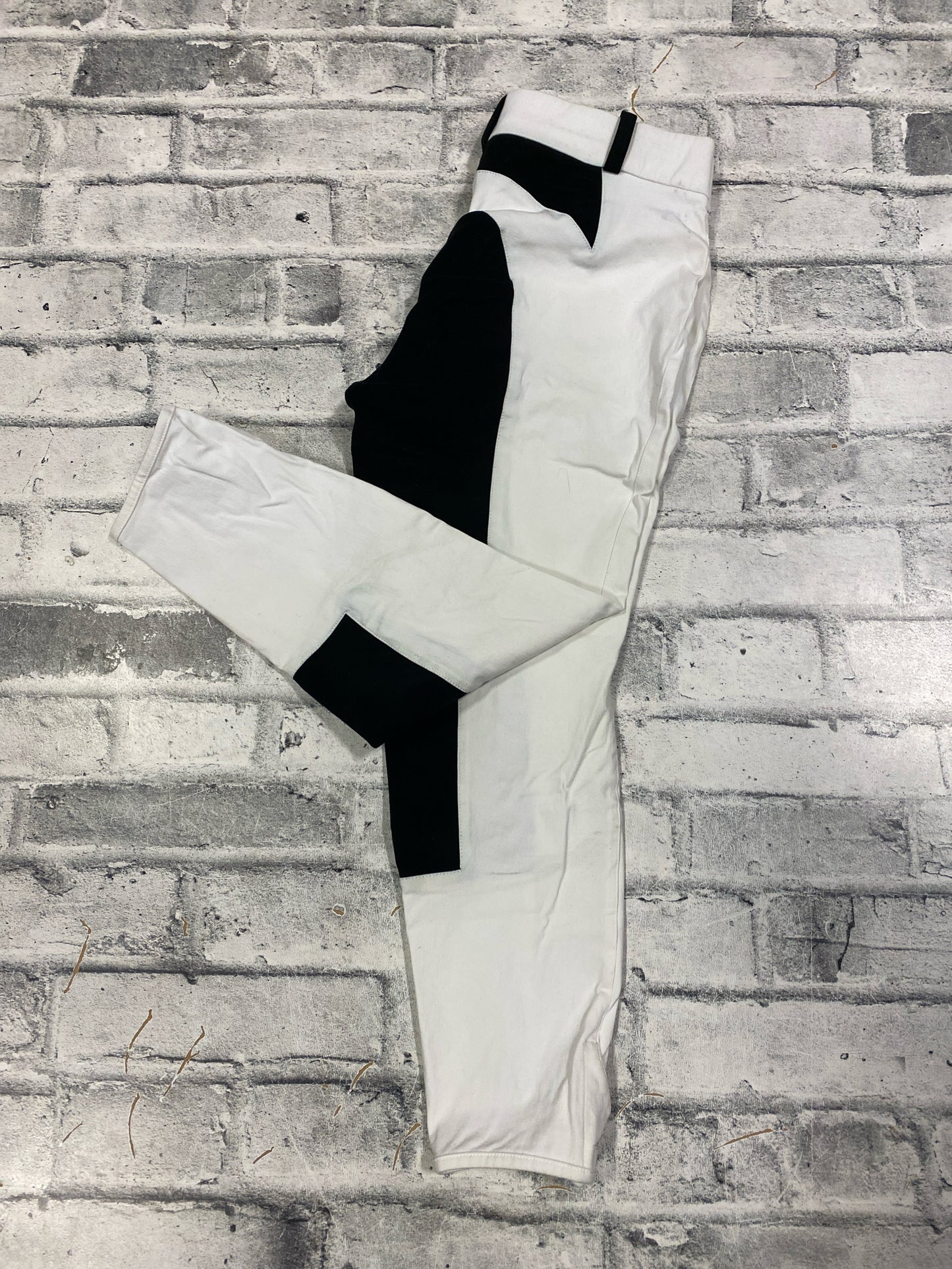 Arista FS Breeches White & Black 32R