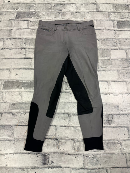 Euro-Star FS Breeches Grey 32