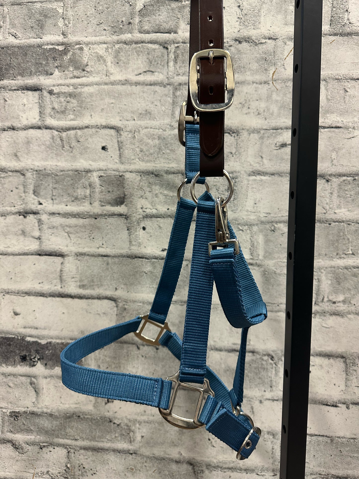Breakaway Halter Blue F