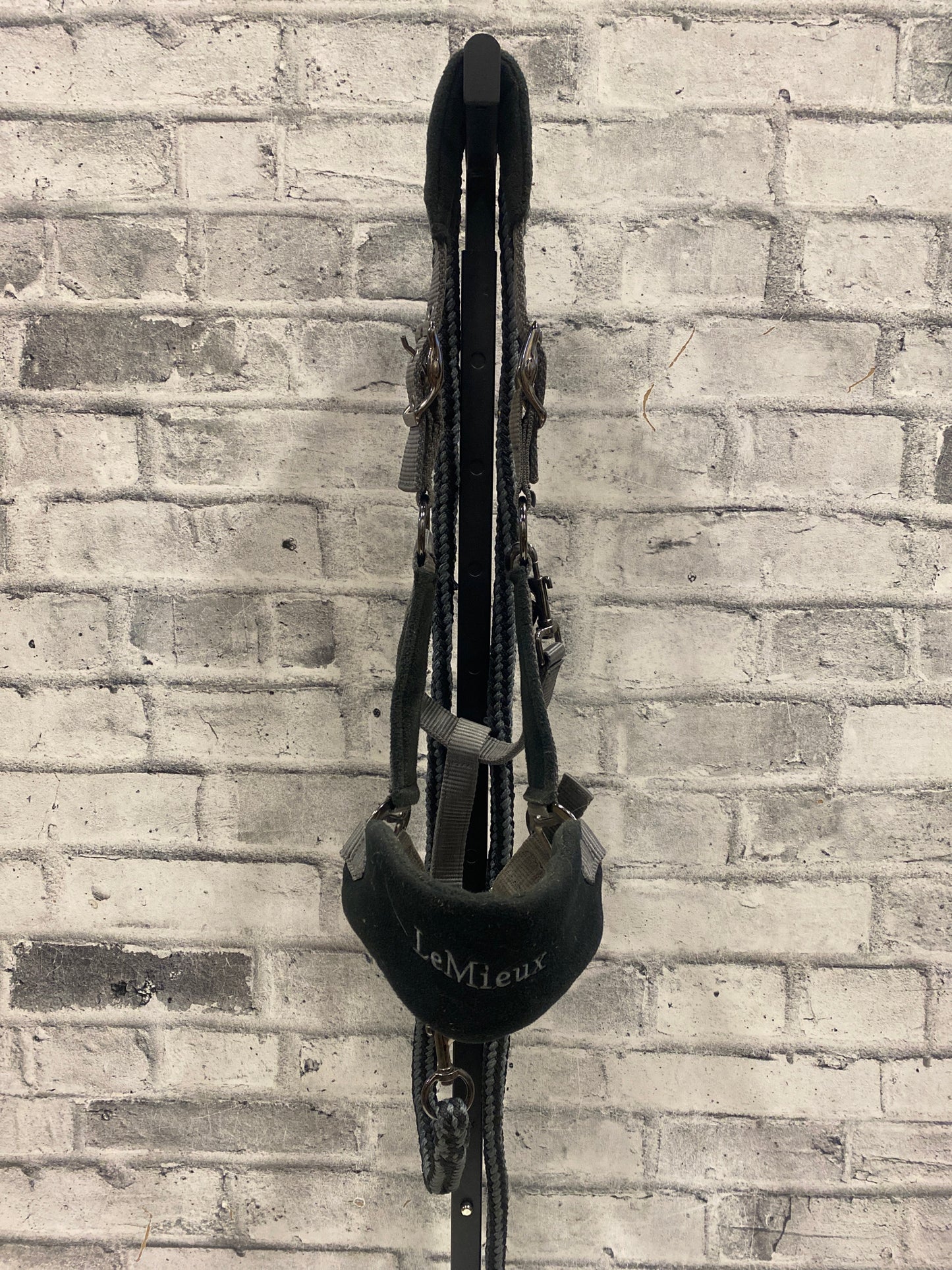 LeMieux Nylon Halter + Lead Grey/Black Full