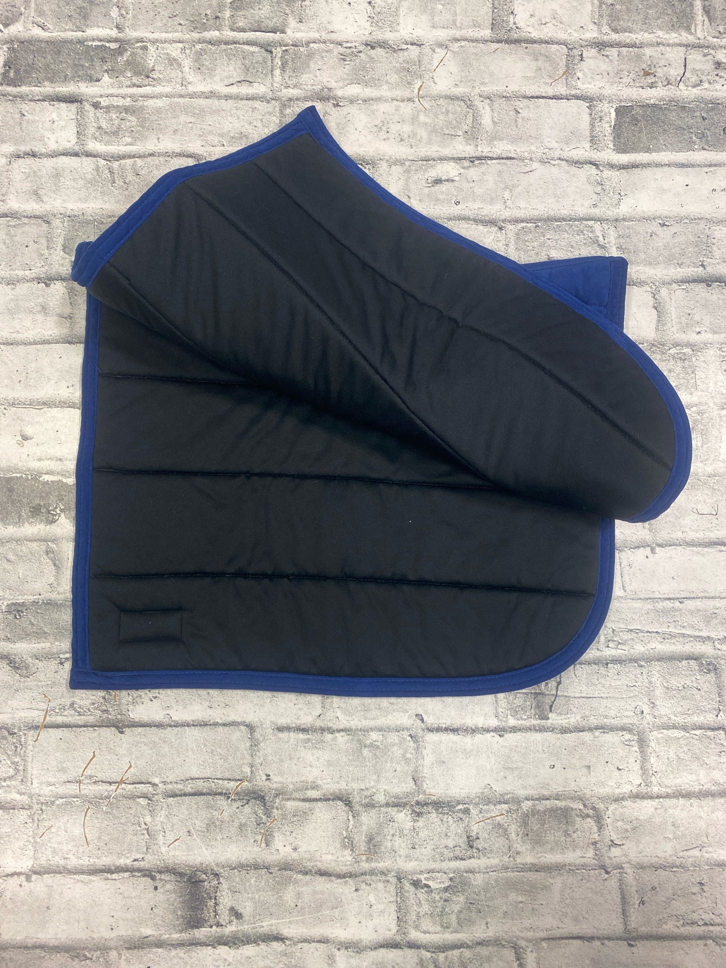 Anky Dressage Pad Blue F