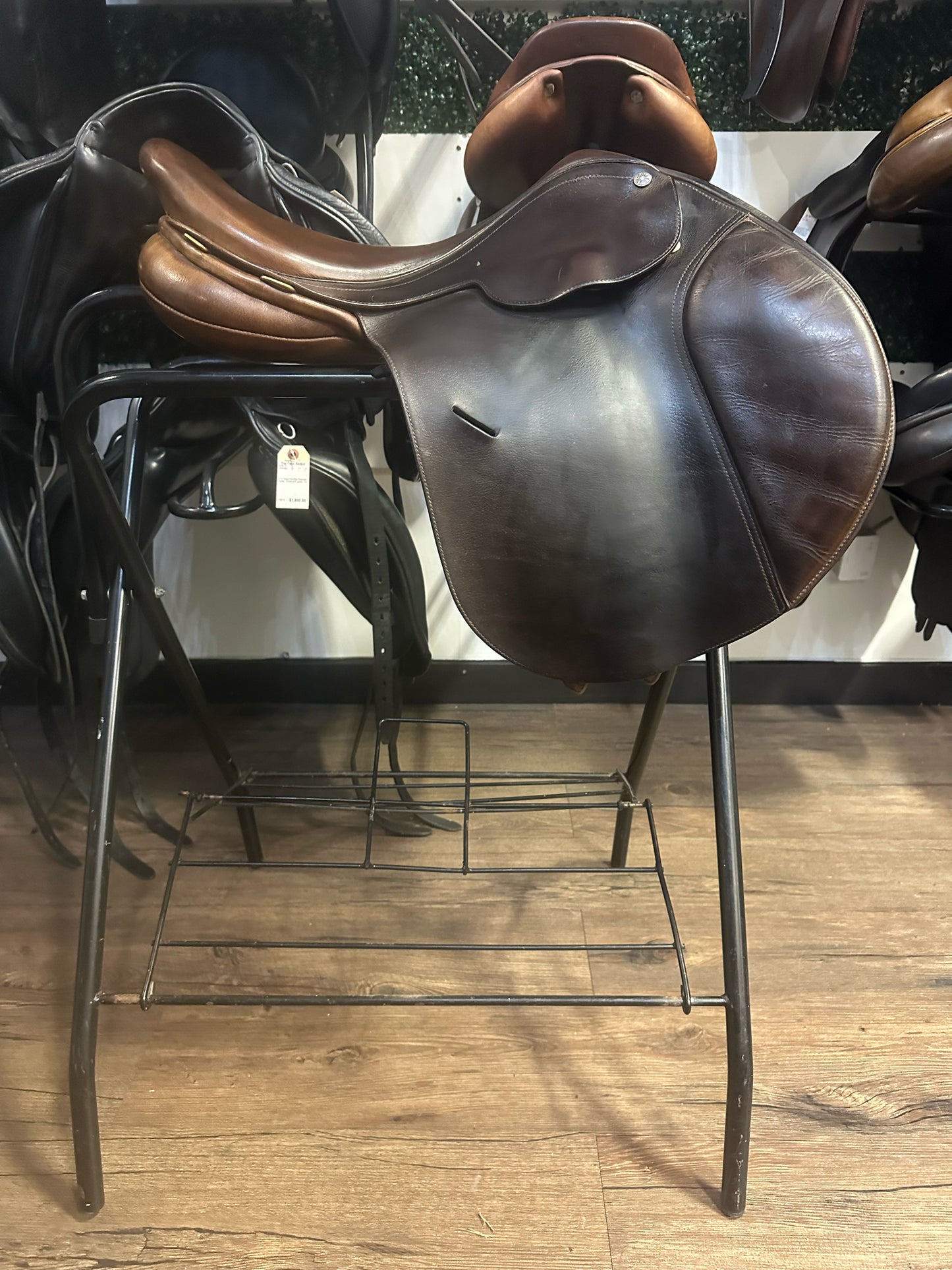 16.5" Collegiate CC Saddle